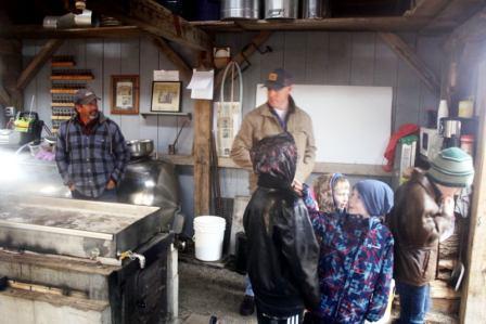 Maple Syrup Family Day